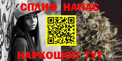 PSILOCYBIN Новозыбков