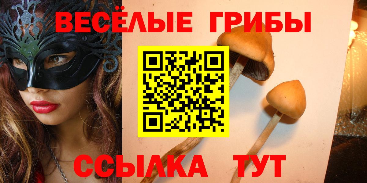 Псилоцибиновые грибы мицелий Ступино
